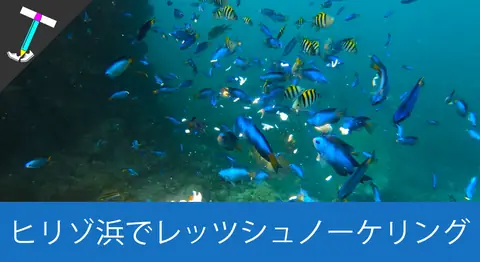 Featured image of post 伊豆の「ヒリゾ浜」は日本屈指の透明度のシュノーケリング地