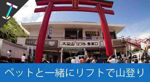 Featured image of post 伊豆の「大室山」はペット可でリフト6分の絶景【ロープウェイ】