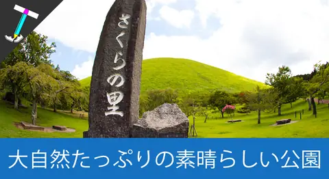 Featured image of post 伊豆の「さくらの里」はペット連れで楽しめる広大な公園