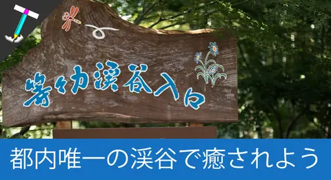 Featured image of post 東京唯一の渓谷「等々力渓谷」は都内と思えない自然スポット