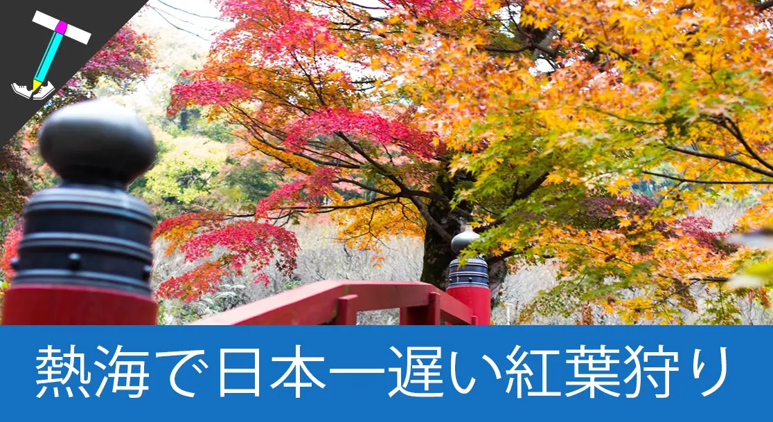 Featured image of post 【関東から日帰りOK】日本で一番遅い紅葉で有名な「熱海梅園」で紅葉狩りしてきた【ライトアップイルミネーション】