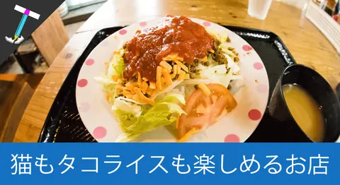Featured image of post 渡嘉敷島「まーさーの店」のタコライスと島猫たち