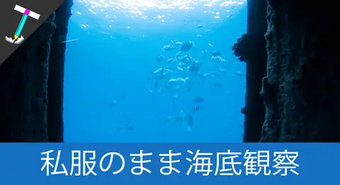 Featured image of post 「宮古島海中公園」で雨の日でも海底観察ができる【おすすめ観光】