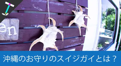 Featured image of post 「スイジガイ（水字貝）」の由来と飾り方・食べ方【沖縄・宮古島】