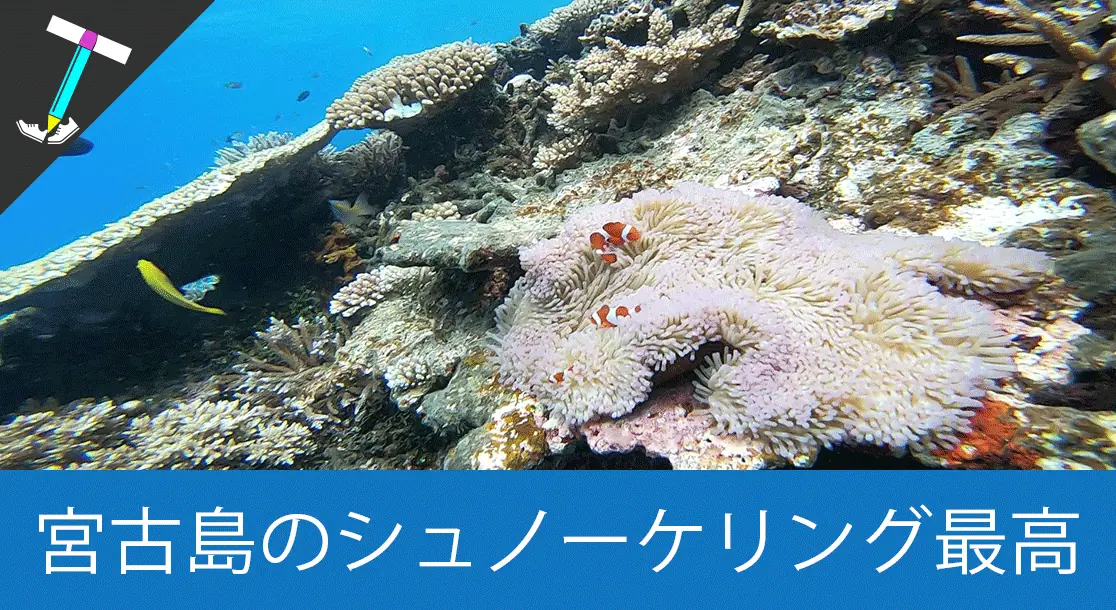 Featured image of post 【男一人旅 二日目】大絶景や自然を堪能し、八重干瀬シュノーケリングでウミガメも発見【沖縄宮古島】