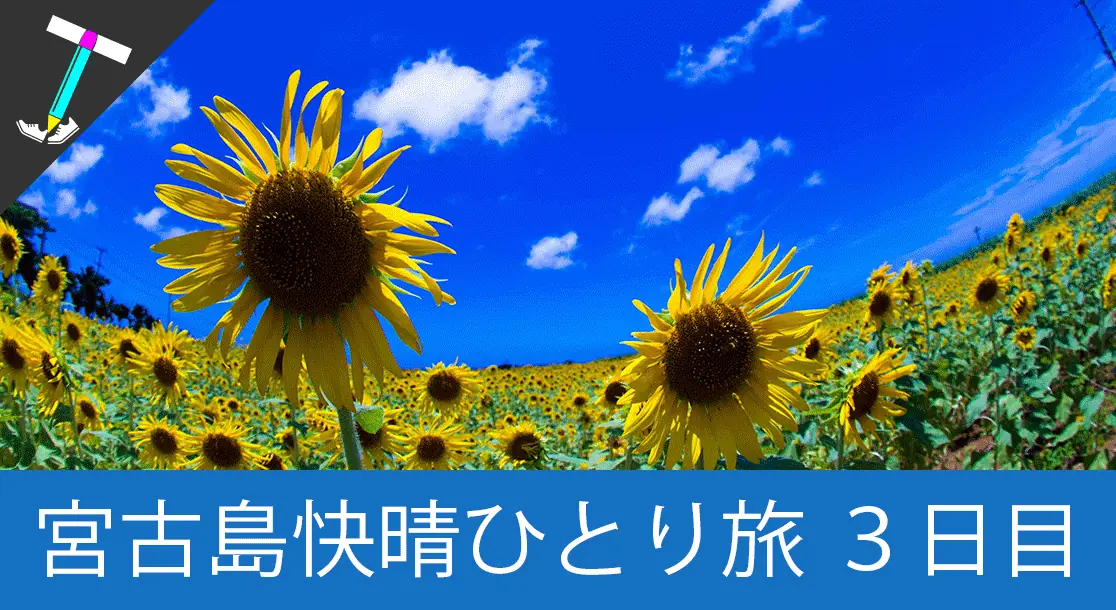 Featured image of post 【シュノーケリング】宮古島男一人旅 奇跡の快晴続きの三日目【タコライス】