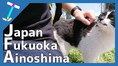 Featured image of post 福岡の猫島「藍島」で気まぐれ猫様と戯れたVlog【北九州】