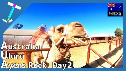 Featured image of post ウルル エアーズロック登頂チャレンジ一人旅 2日目【Vlog】