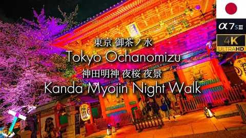 Featured image of post 東京・神田明神の夜桜ライトアップを歩き撮り【2022】