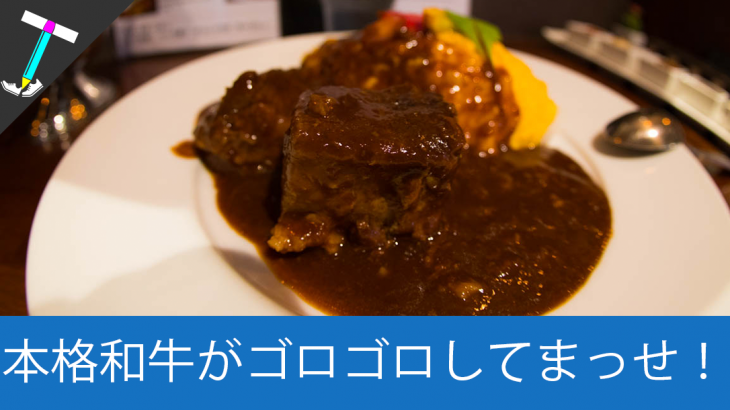【美味しいカレー定期】奈良の本格トロトロお肉の「和牛スジカレー」