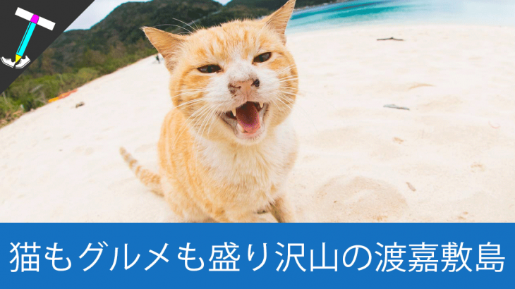 【隠れ猫島】那覇から日帰りで行ける離島の「渡嘉敷島」で野良猫と美味しいものを楽しんじゃおう【オススメスポット】