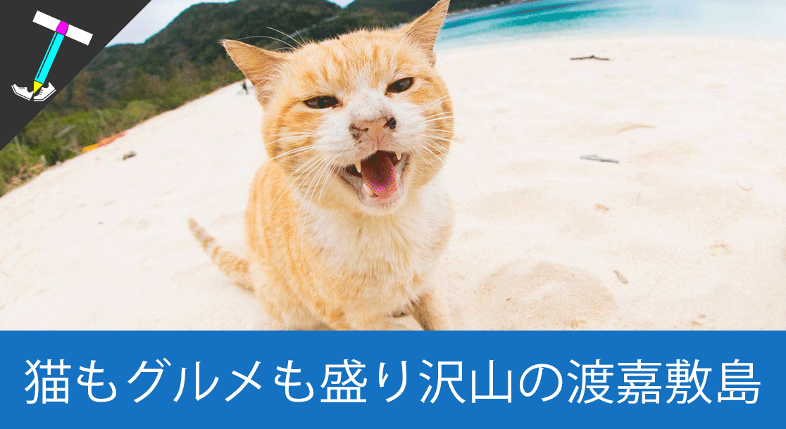 隠れ猫島 那覇から日帰りで行ける離島の 渡嘉敷島 で野良猫と美味しいものを楽しんじゃおう オススメスポット Travenist トラベニスト