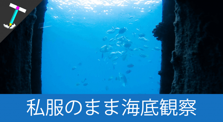 【雨の日でも海中散歩】いろんな魚が見れる「宮古島海中公園」で海底観察をしよう【おすすめ観光スポット】