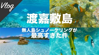 沖縄Vlog | 桁違いの透明度！慶良間諸島の渡嘉敷島にある無人島でのシュノーケリングがヤバすぎた【慶良間ブルー】